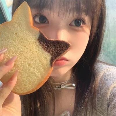 芭比明星公主